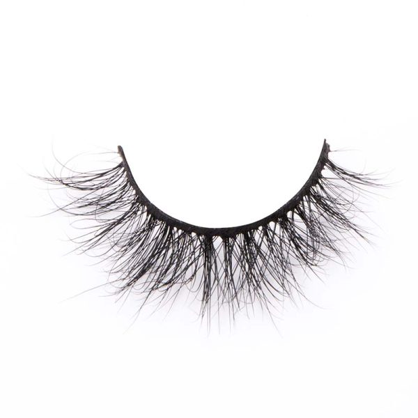 Magnetic Lash, Fake Eyelash