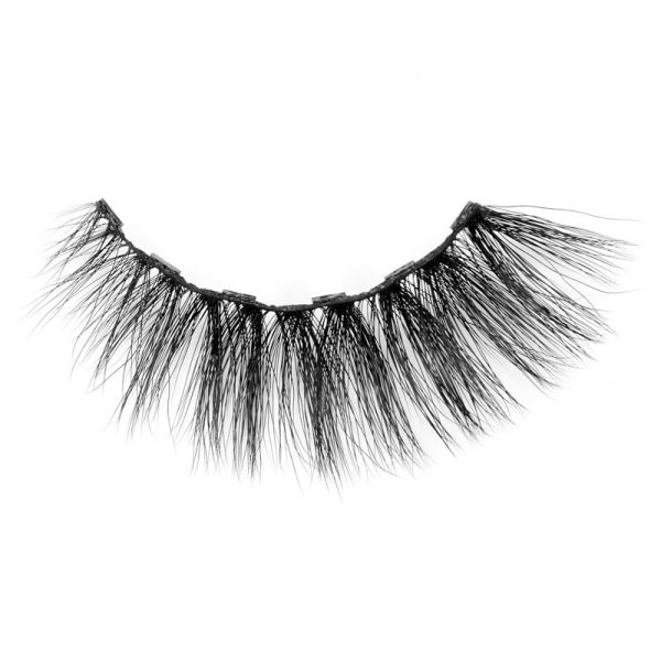 Magnetic Lash, Fake Eyelash